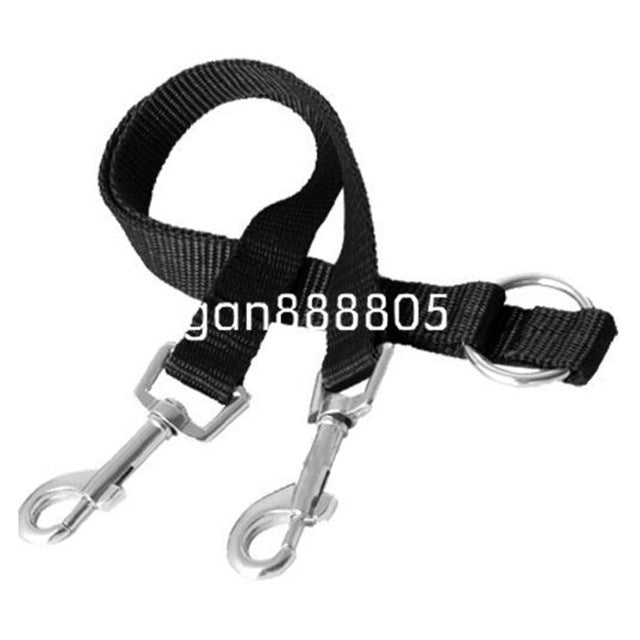 Twin dual coupler dog leash