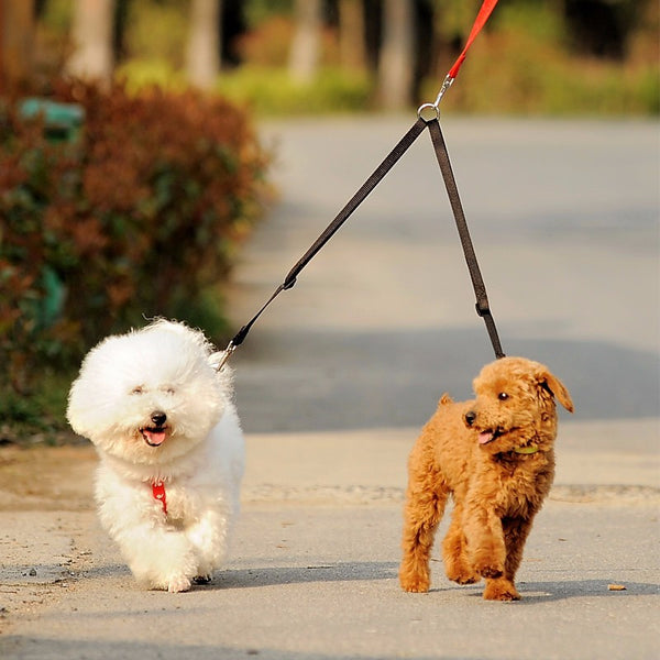 Twin dual coupler dog leash