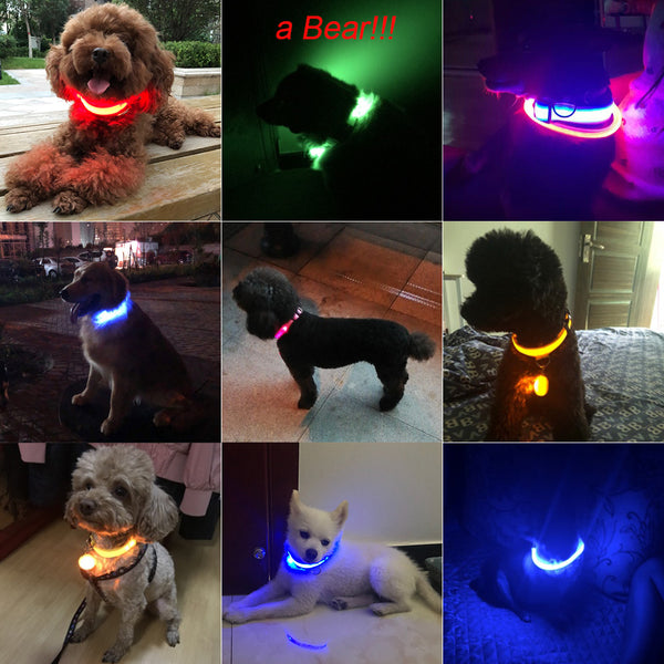 Adjustable LED Dog Collar to Keep Dogs Safe