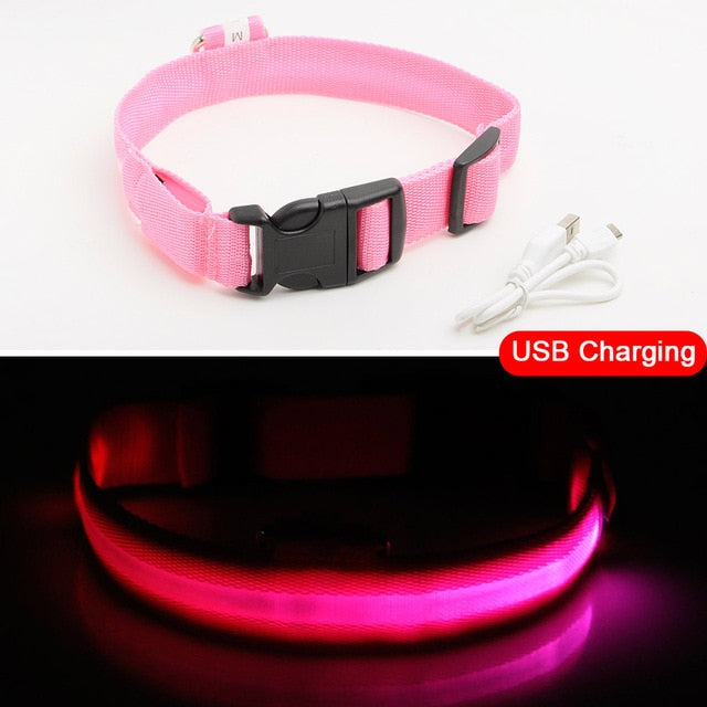 Adjustable LED Dog Collar to Keep Dogs Safe