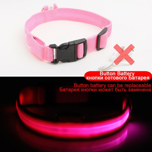 Adjustable LED Dog Collar to Keep Dogs Safe